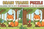 Brain Puzzle Challenge